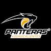 潘多拉logo